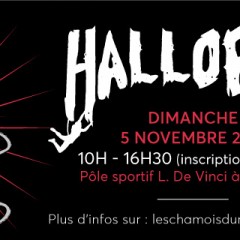 hallopen-banner-facebook.2017.jpg, oct. 2017 hallopen-banner-facebook.2017.jpg
